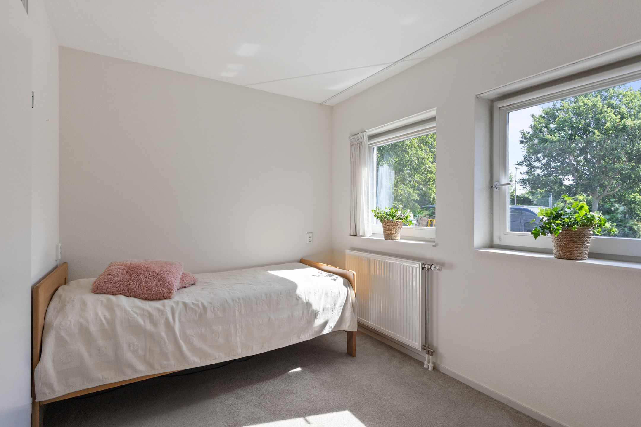 Foto 18 van Drooghe Bol 2015