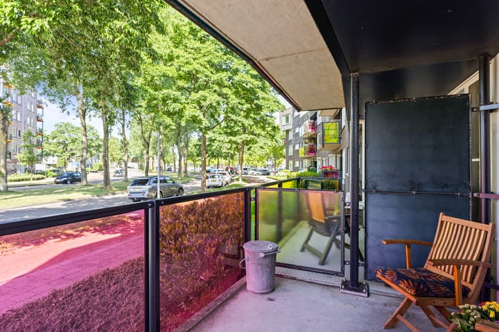 Foto 11 van Drooghe Bol 2015