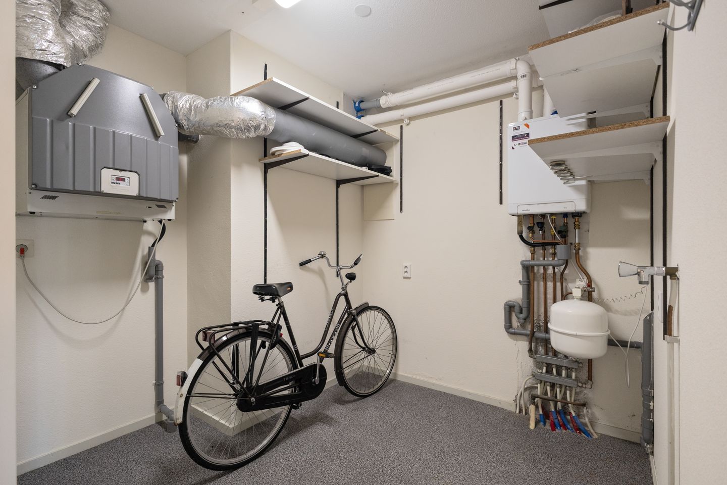 Foto 19 van Drooghe Bol 2015