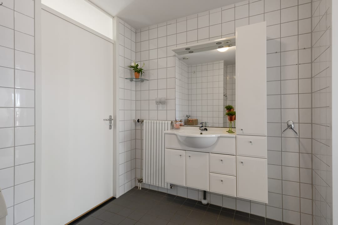 Foto 16 van Drooghe Bol 2015