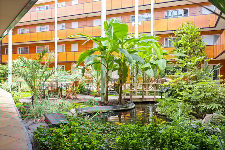 Foto 20 van Drooghe Bol 2015