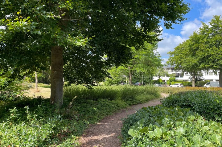 Foto 13 van Lijsterlaan 291