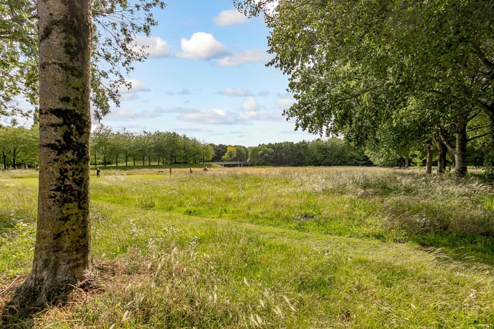 Foto 65 van Arturo Toscaninistraat 21