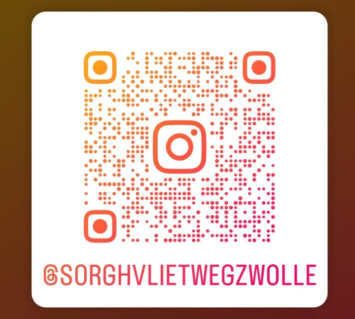 Foto 88 van Sorghvlietweg 10