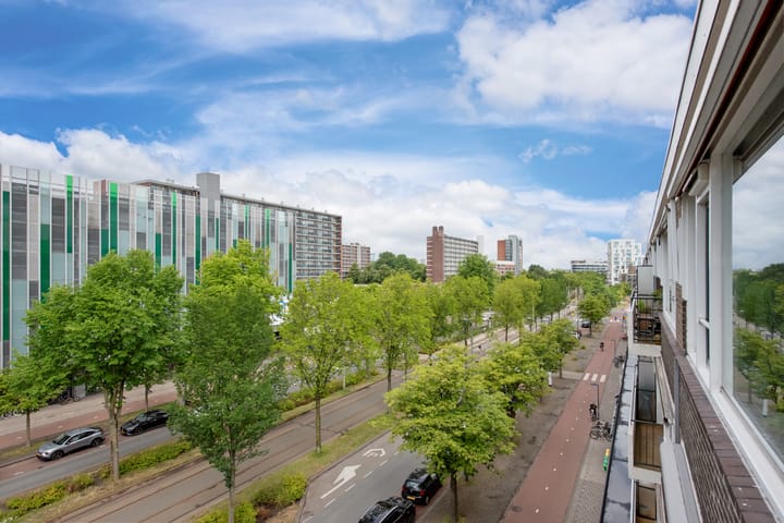 Foto 24 van Papsouwselaan 273