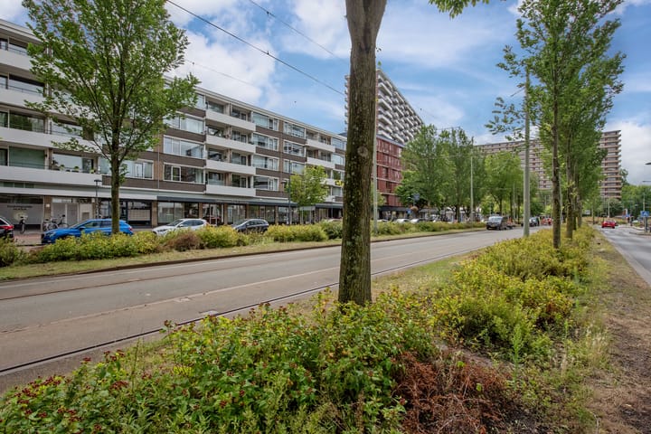 Foto 43 van Papsouwselaan 273