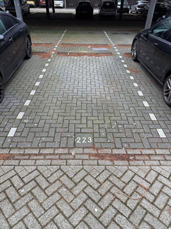 Foto 16 van Palmyraplaats 164