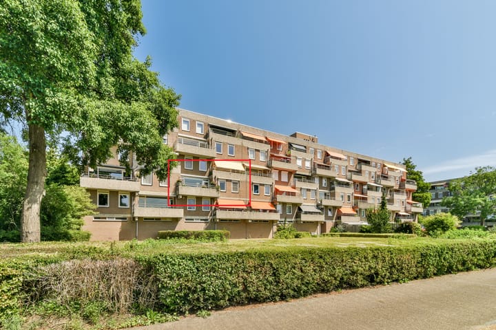 undefined main image
