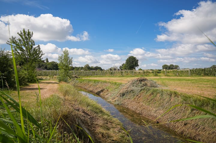 Foto 34 van De Hoepelmaker 11