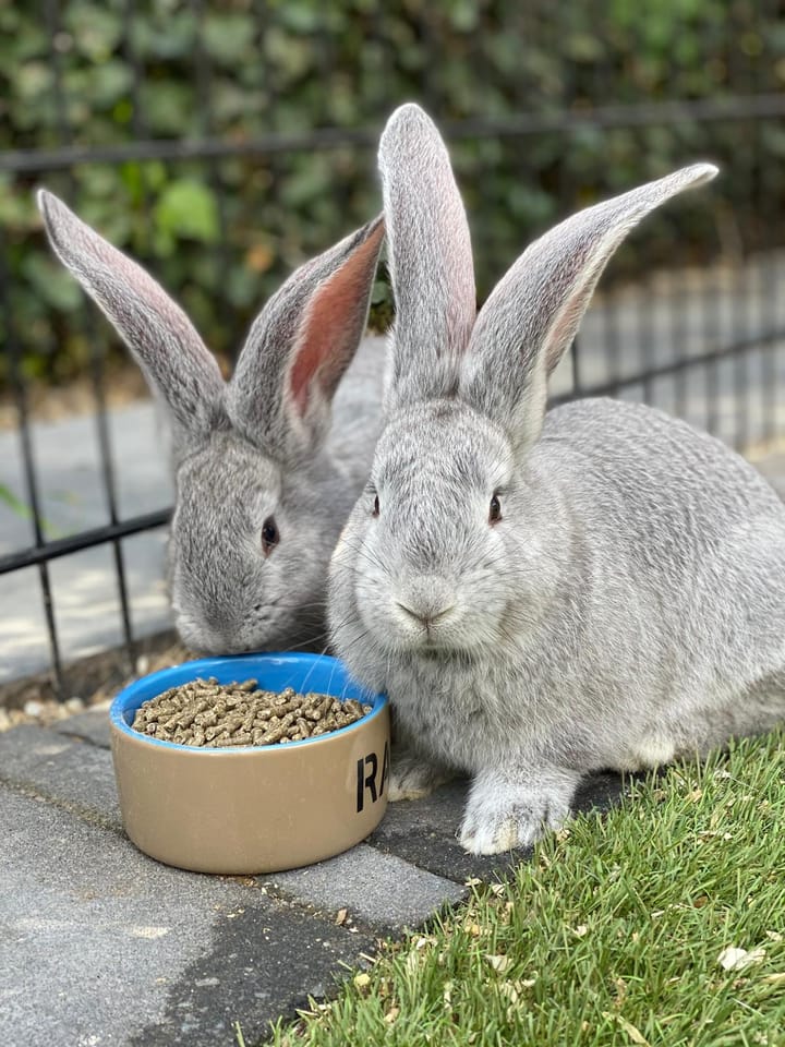 Foto 67 van Kieftenweg 73