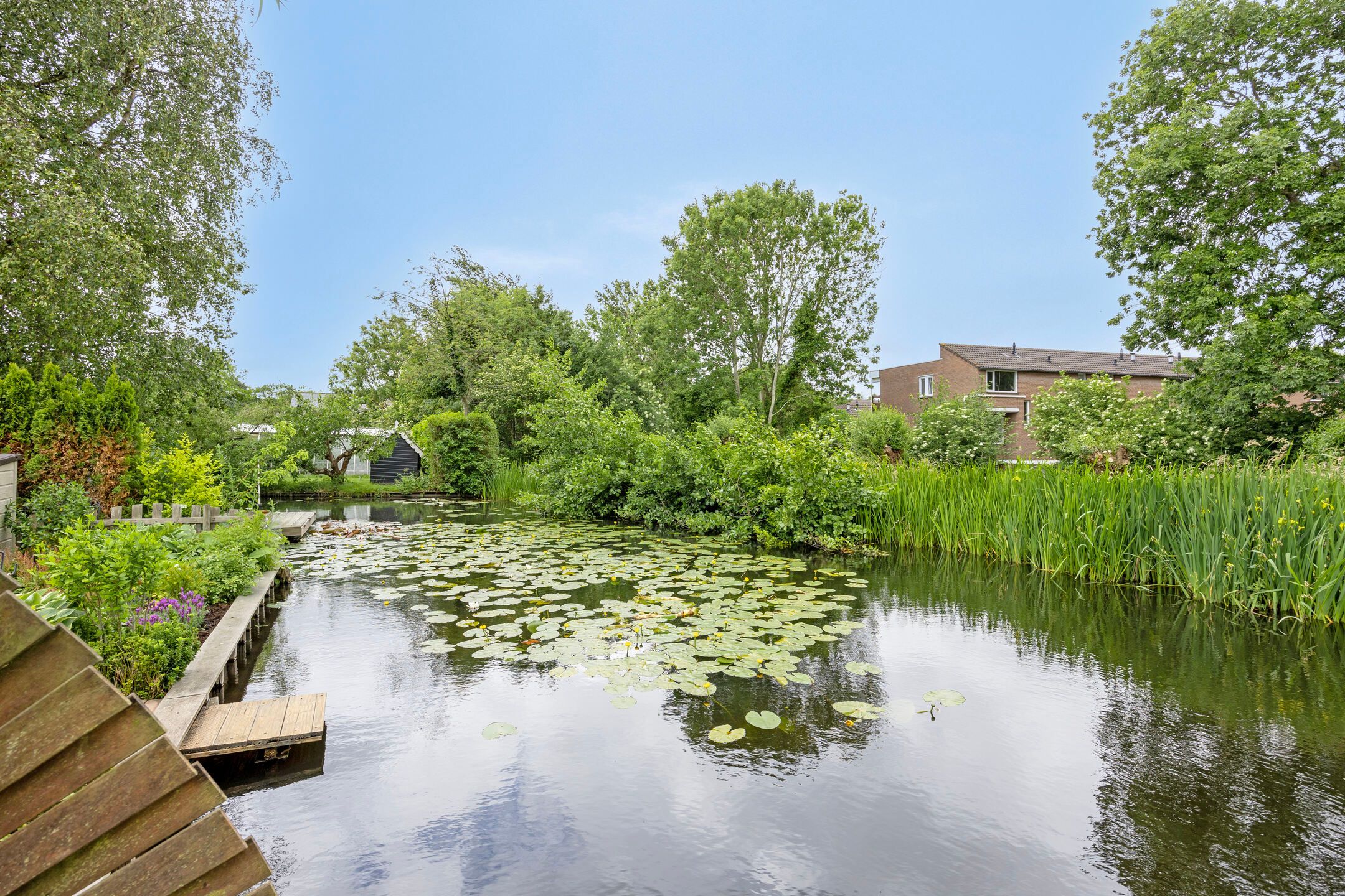 Foto 15 van Zegwaartseweg 72-A