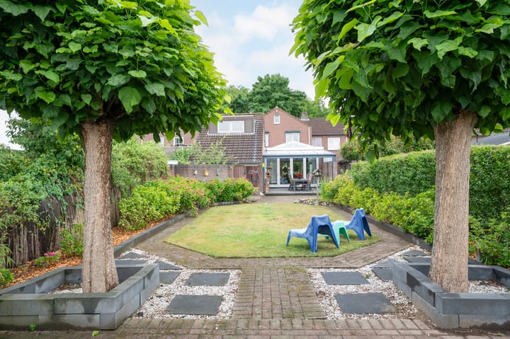 Foto 5 van Sterre der Zeeplein 4