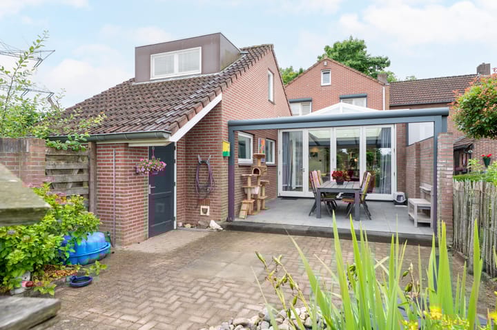 Foto 27 van Sterre der Zeeplein 4