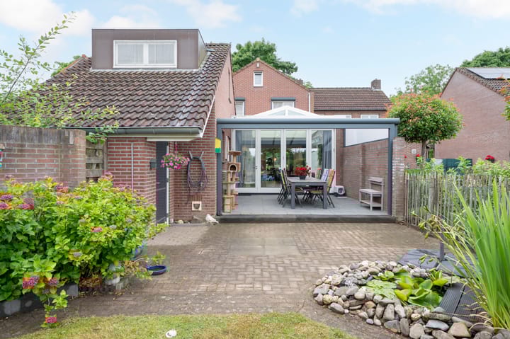 Foto 28 van Sterre der Zeeplein 4