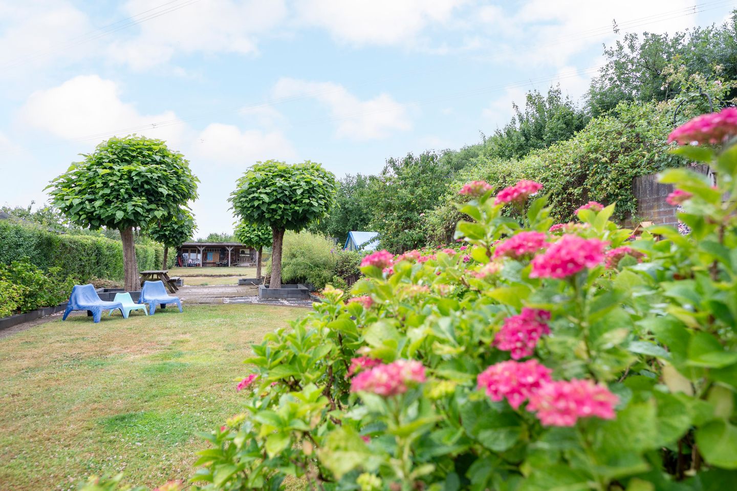 Foto 34 van Sterre der Zeeplein 4