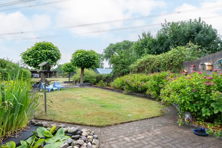 Foto 35 van Sterre der Zeeplein 4