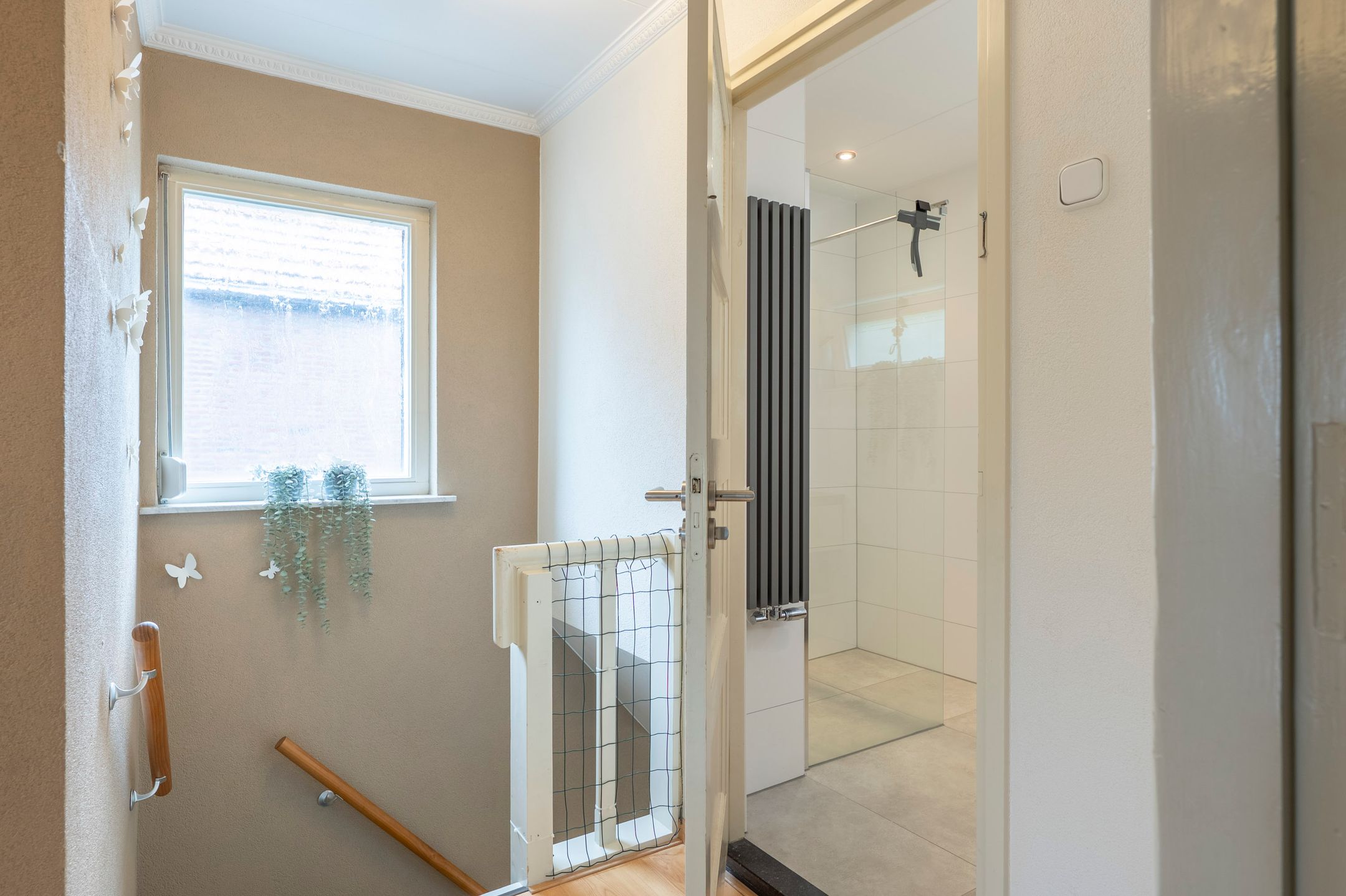 Foto 36 van Sterre der Zeeplein 4