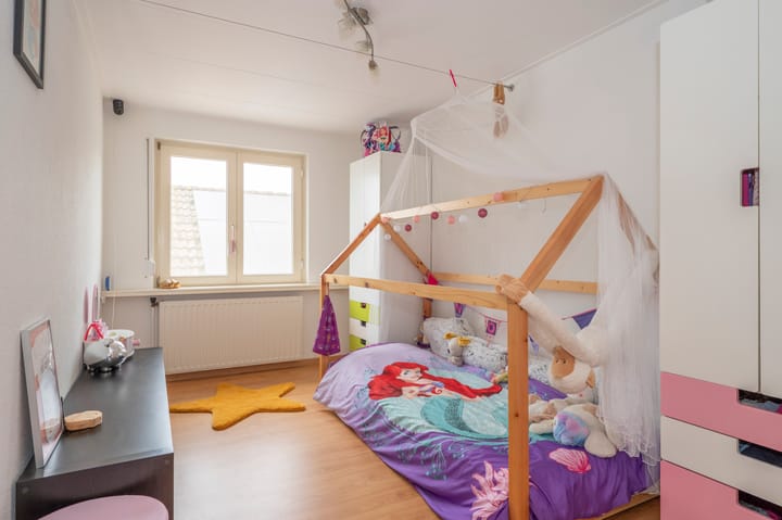 Foto 50 van Sterre der Zeeplein 4