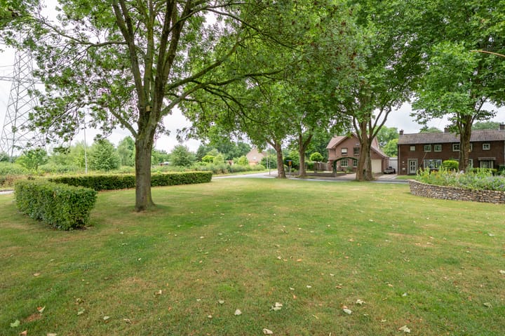 Foto 55 van Sterre der Zeeplein 4