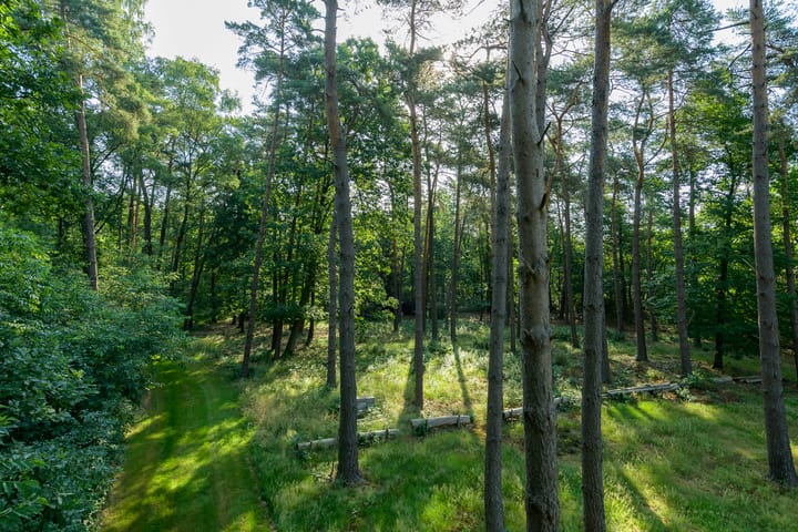 Foto 28 van Loenenseweg 93