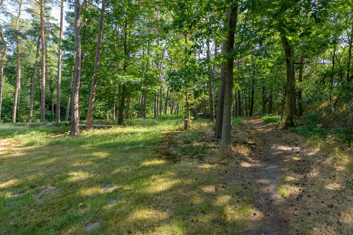 Foto 30 van Loenenseweg 93