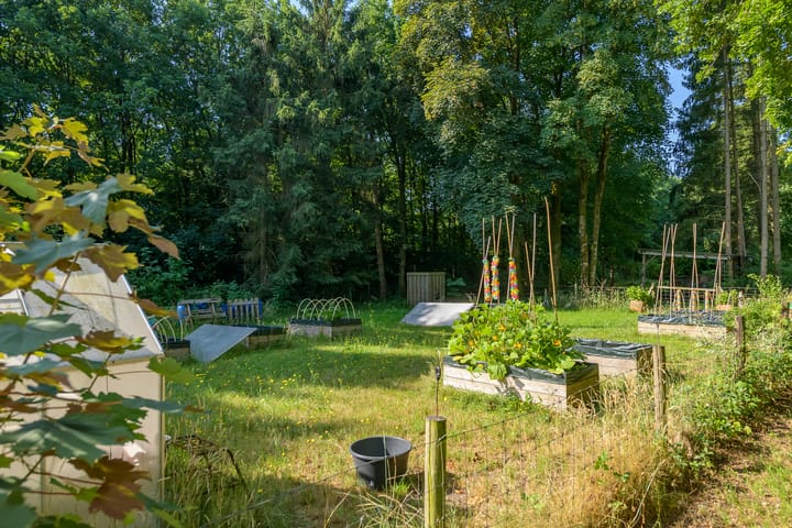 Foto 36 van Loenenseweg 93