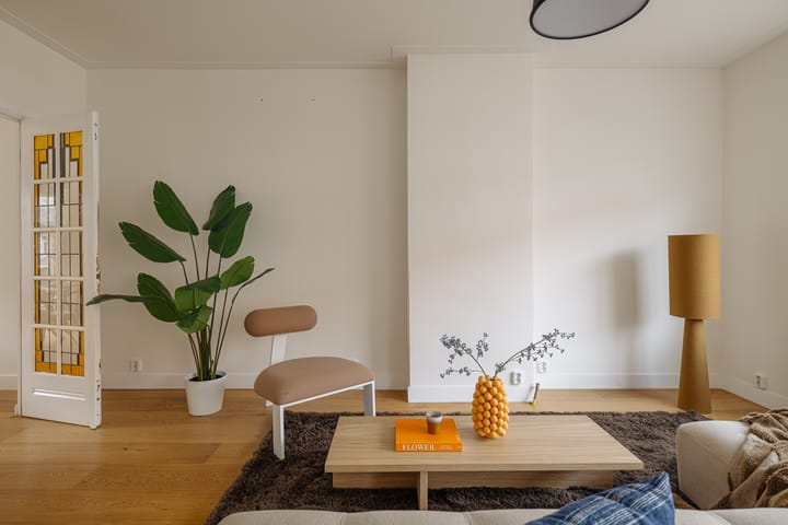 Foto 3 van Hectorstraat 10-2