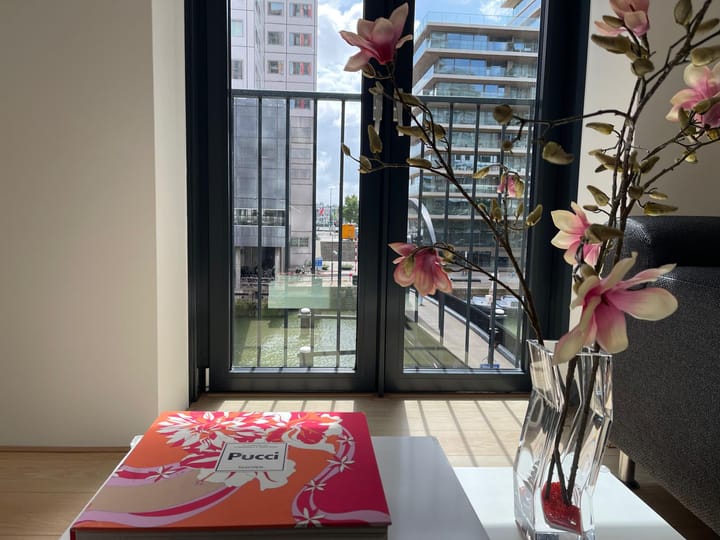 Foto 11 van Wijnbrugstraat 50