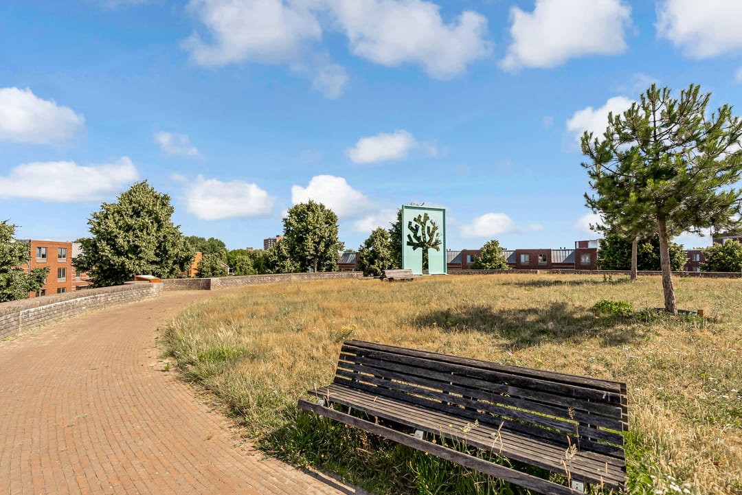 Photo 28 of Palladio 5