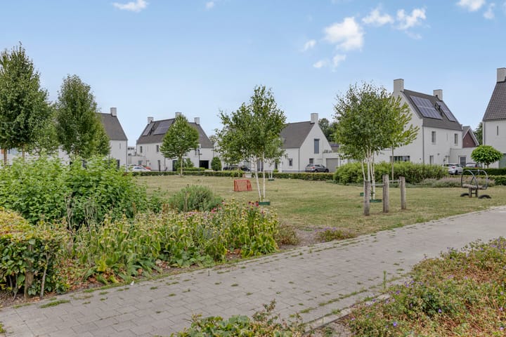 Foto 36 van Reaal 18