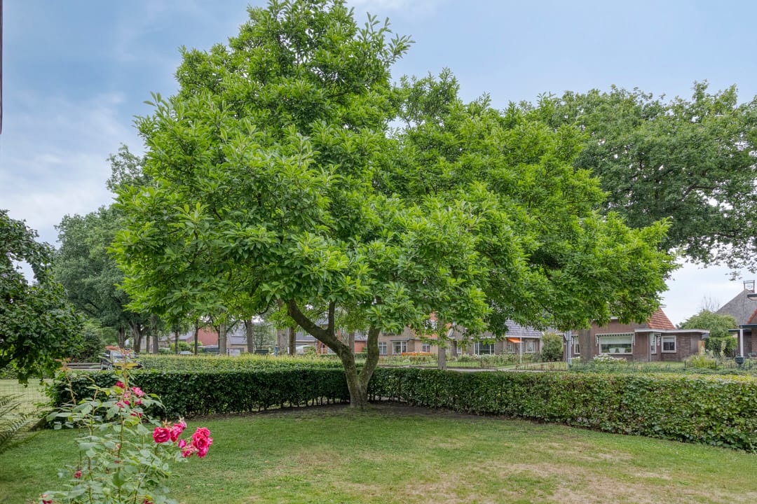 Foto 46 van Esweg 111