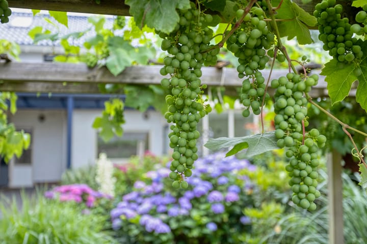 Foto 67 van Esweg 111