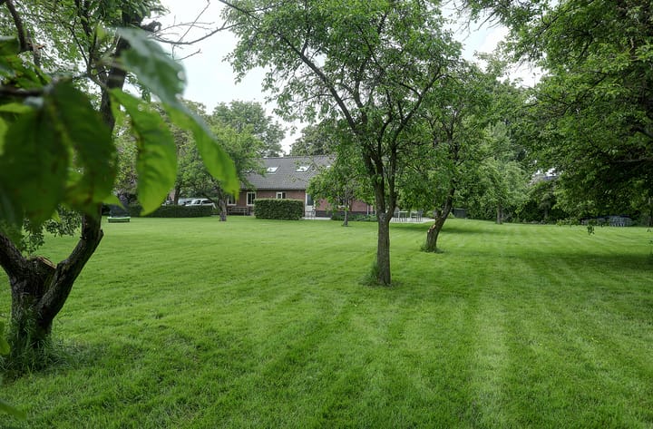 Photo 56 of Oudewei 14