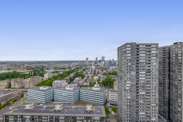 Foto 32 van Houtlaan 259