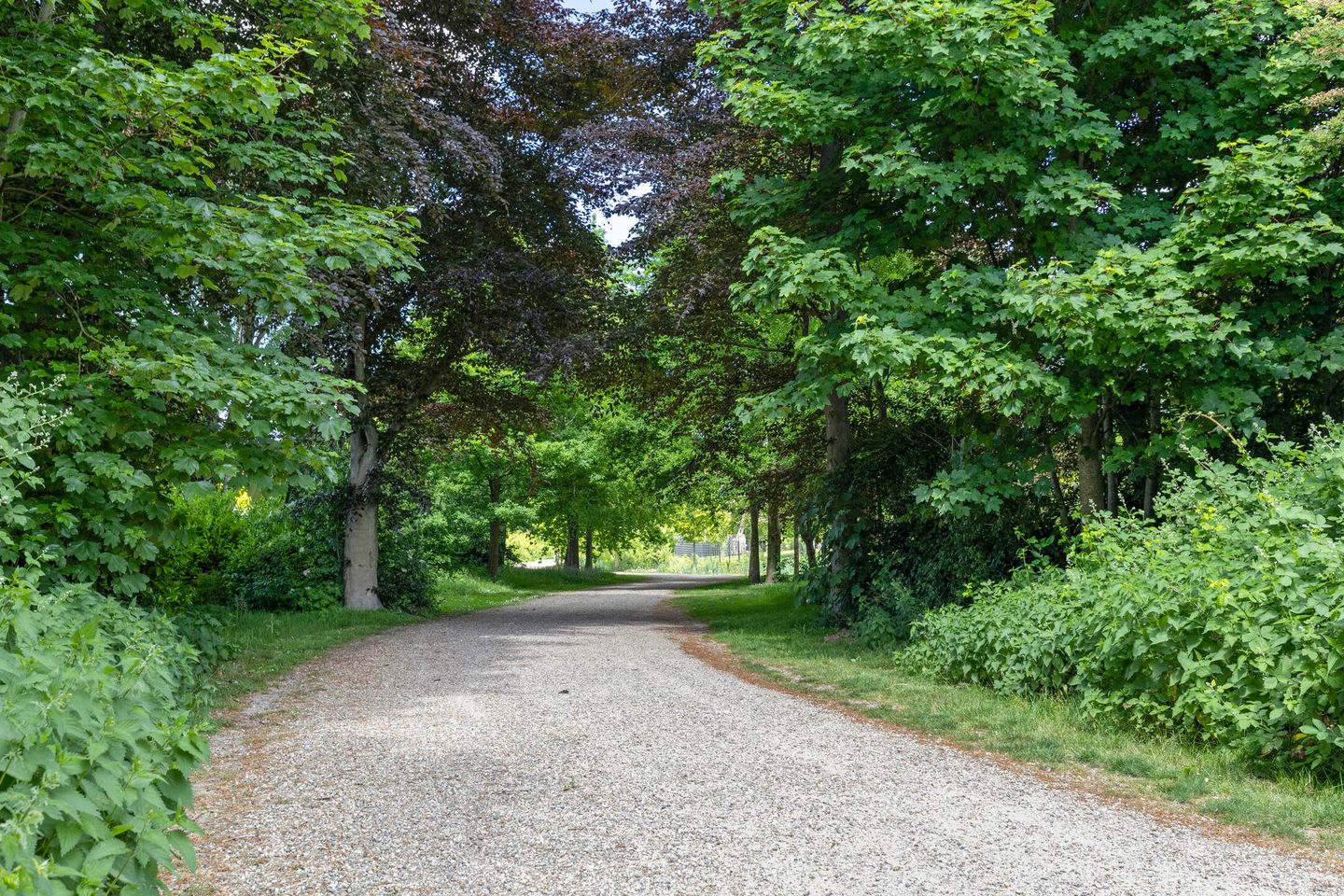 Foto 34 van Spinnewiel 8