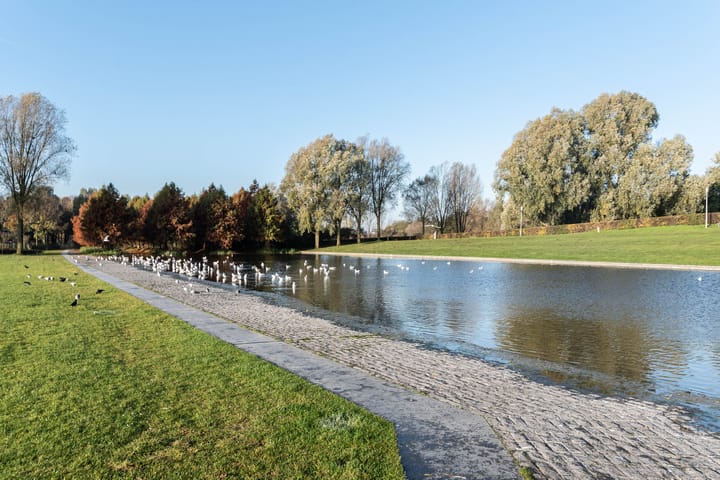 Foto 24 van Zaanstraat 318