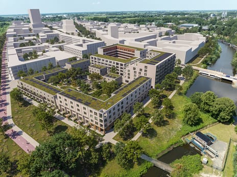 De Suikerzijde - Vertex main image