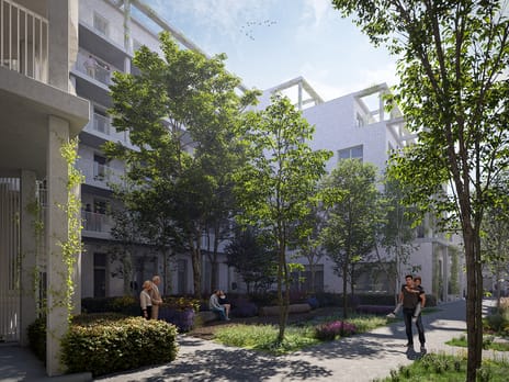 De Suikerzijde - Vertex main image