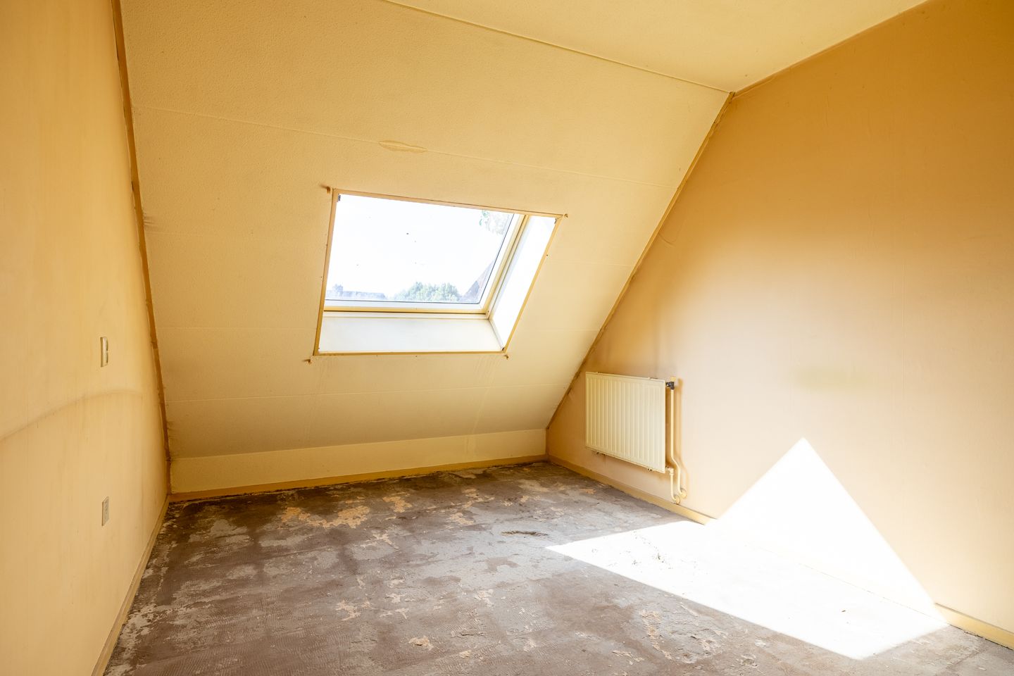 Foto 19 van Putter 10