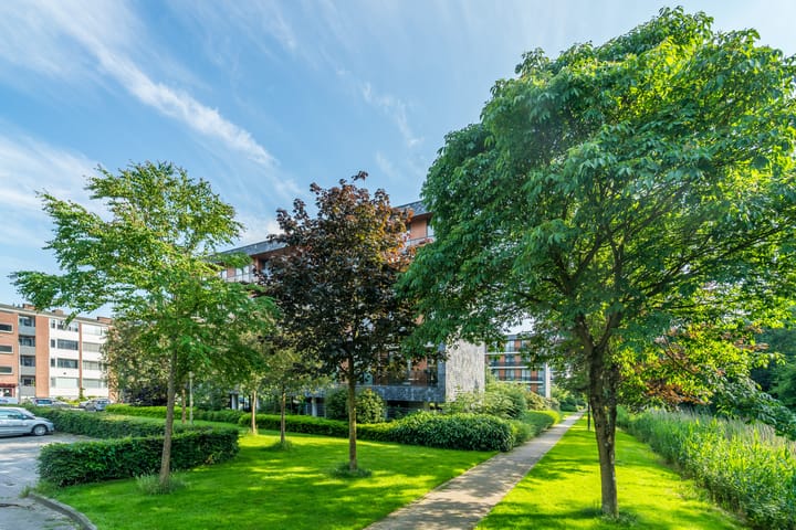 Foto 30 van Saturnusstraat 531