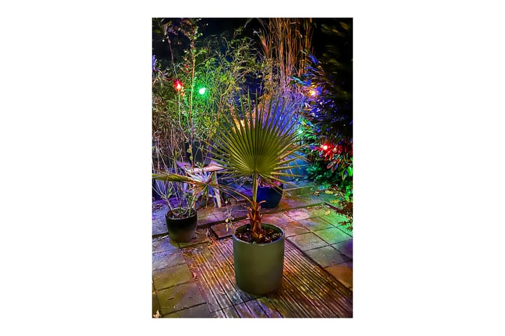 Photo 18 of Van Bossestraat 68-H