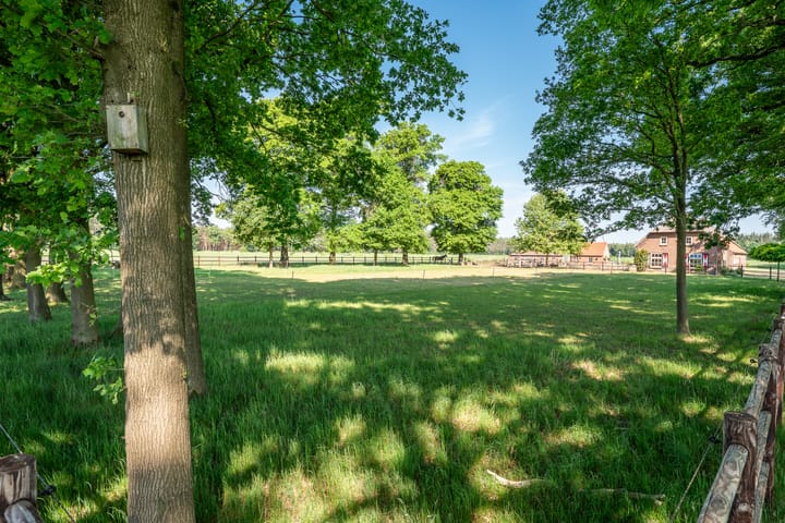 Foto 8 van Roovertsebaan 3