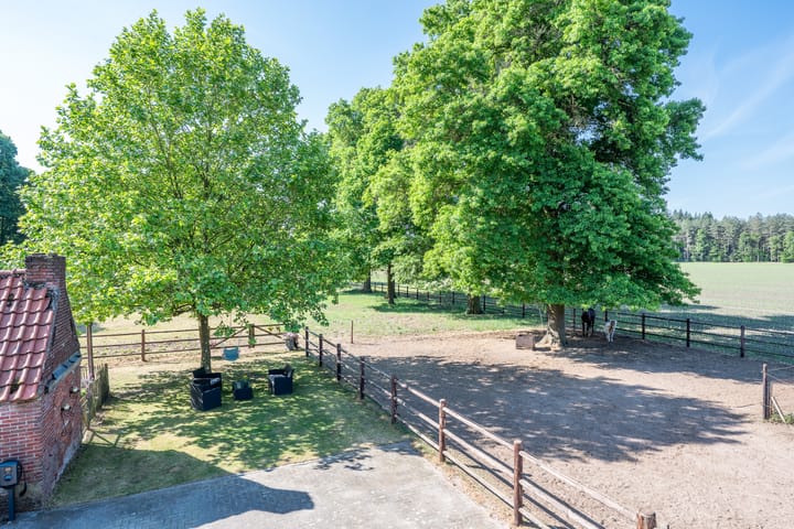 Foto 49 van Roovertsebaan 3