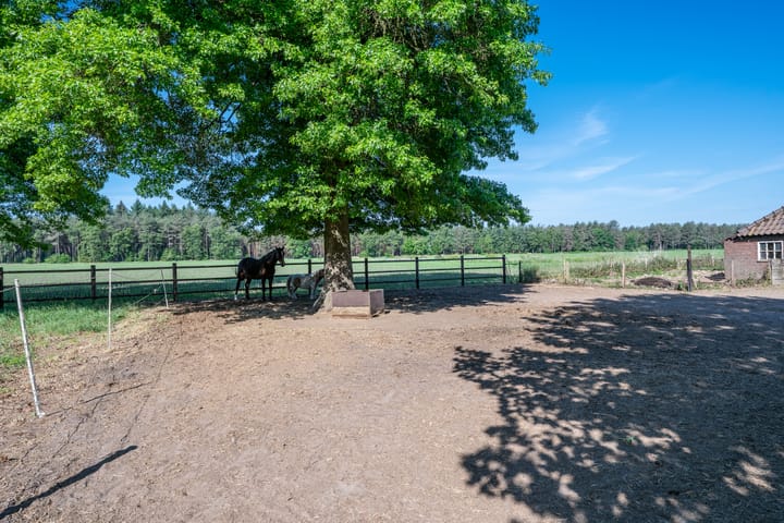 Foto 50 van Roovertsebaan 3