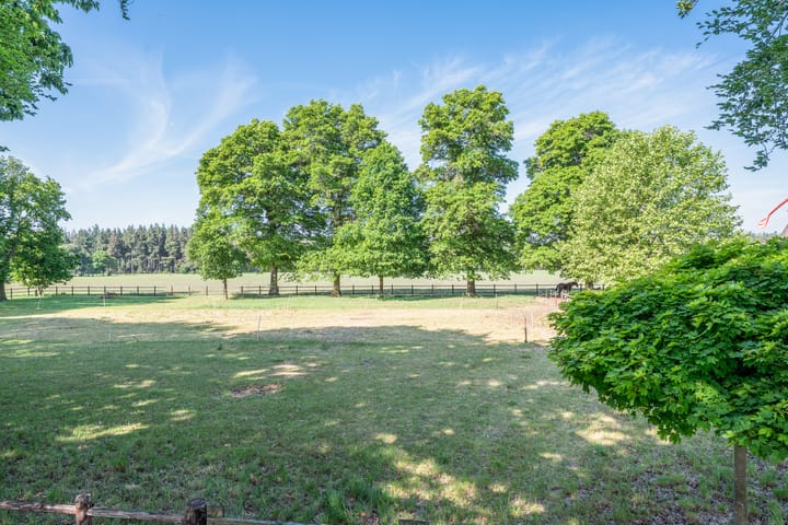 Foto 54 van Roovertsebaan 3