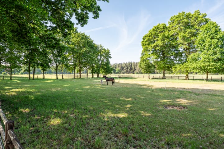 Foto 55 van Roovertsebaan 3