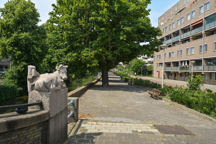 Foto 43 van Jacobastraat 126