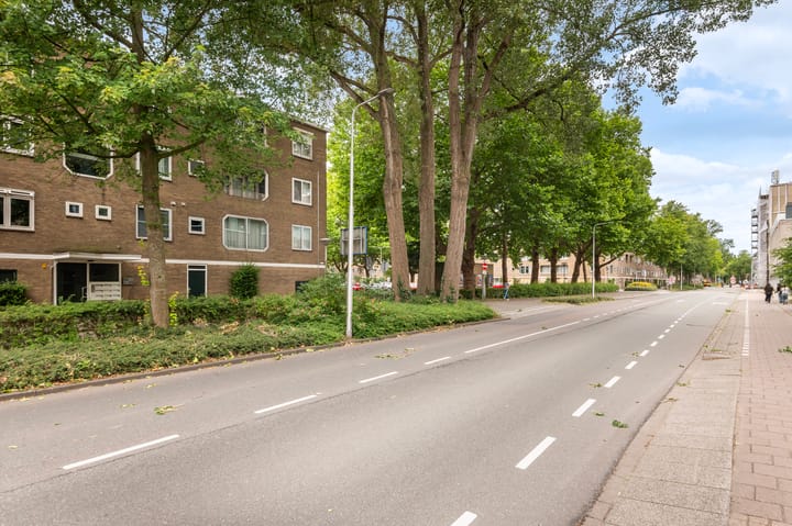 Foto 17 van Meander 901