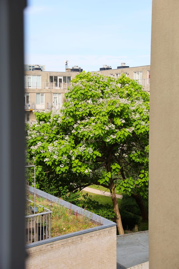 Foto 21 van Wittenburgergracht 181