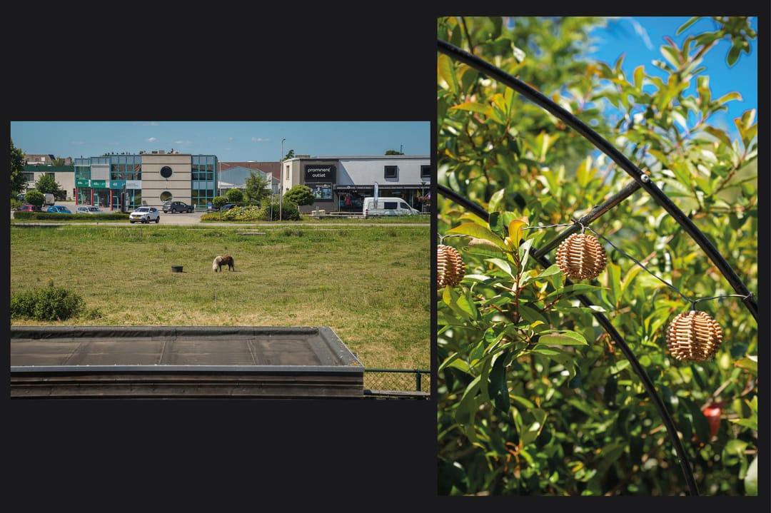 Foto 28 van Korenveld 31